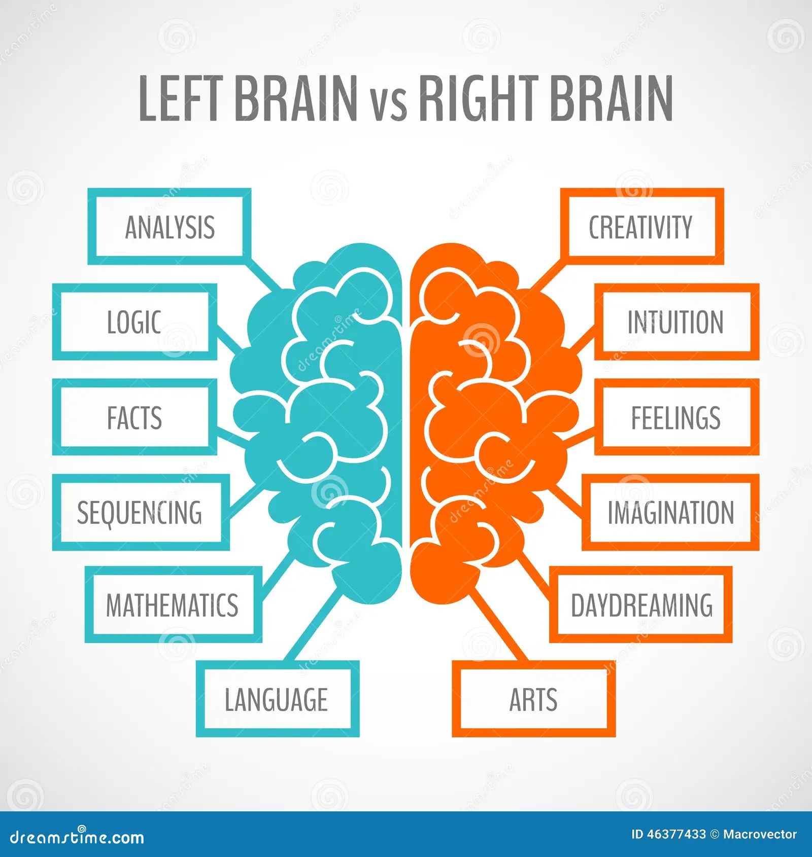 Are “left-brained types” and “you only use 10% of your brain” a lie? brain myths